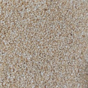 خرید و قیمت کنجد