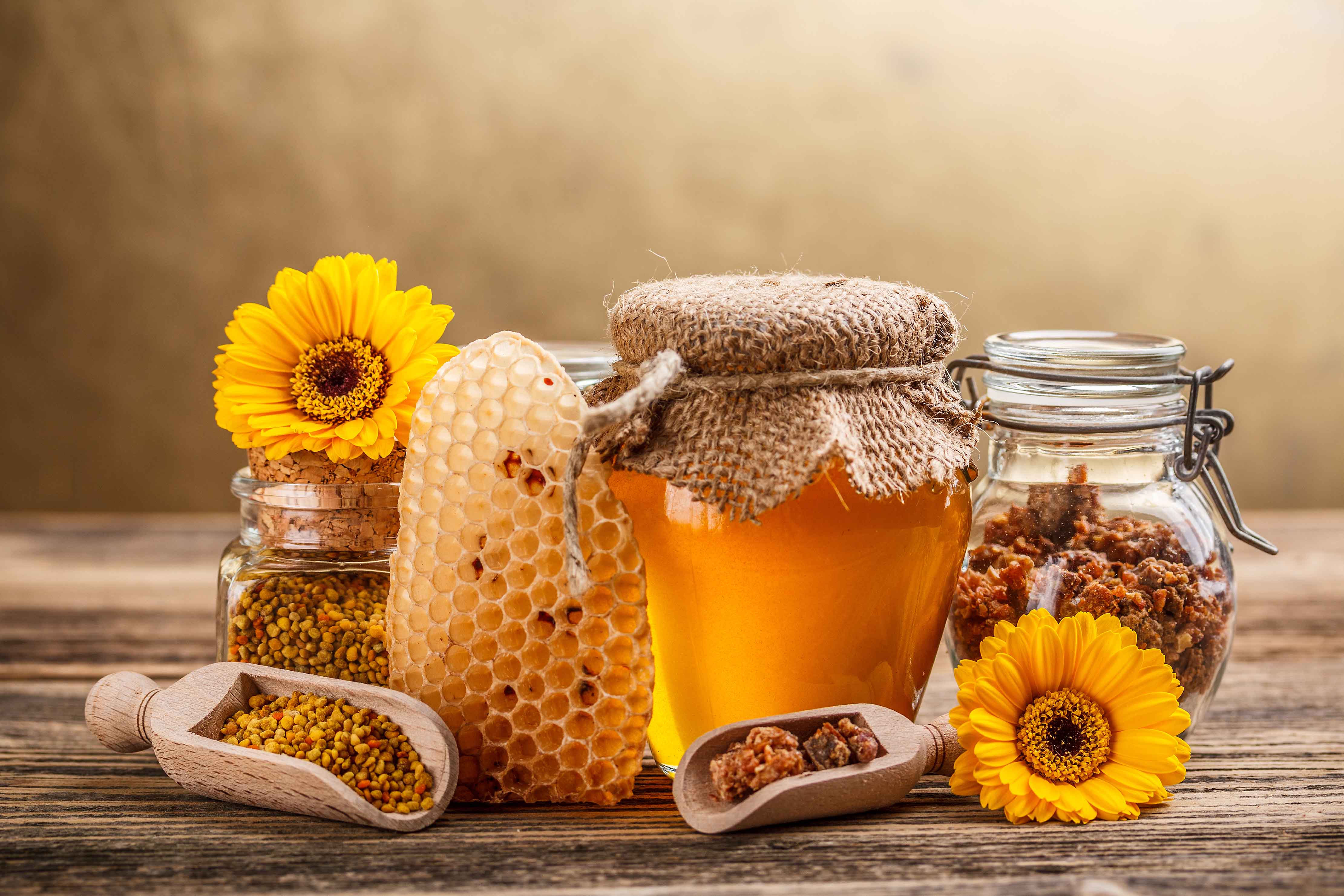 خرید و قیمت عسل کوهی خالص