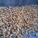انجیر خشک