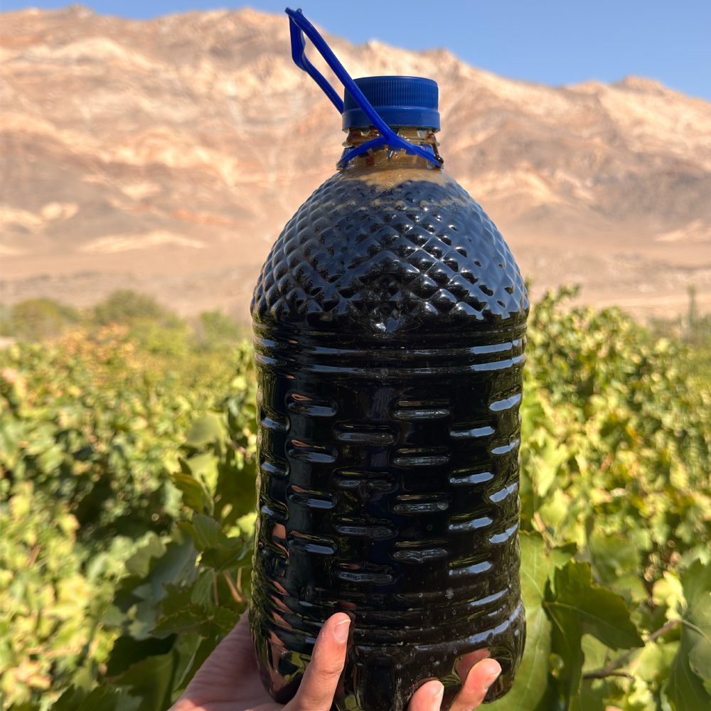 خرید و قیمت و خواص شیره انگور محلی