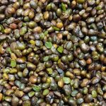 روش استفاده از بنه