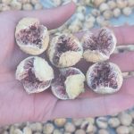 無花果乾，伊朗無花果，無花果乾