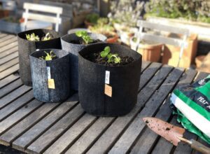 فرق گلدانهای پارچهای با سایر گلدان ها