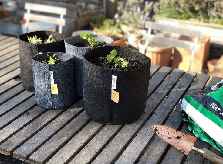 فرق گلدانهای پارچهای با سایر گلدان ها