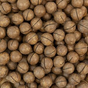 خرید و قیمت ماکادمیا فندق استرالیایی