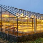 راهنمای انتخاب نایلون کشاورزی، مالچ پلی اتیلنی و نایلون گلخانه